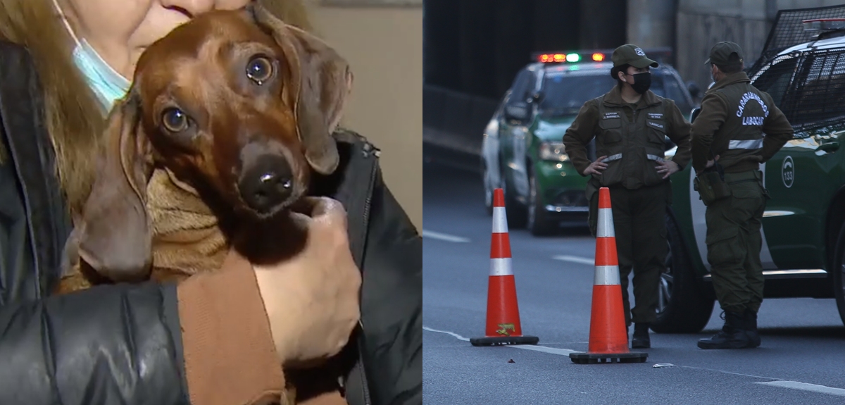 Lampa: conductor fue apuñalado en espalda y cuello mientras rescataba a su perrita durante encerrona