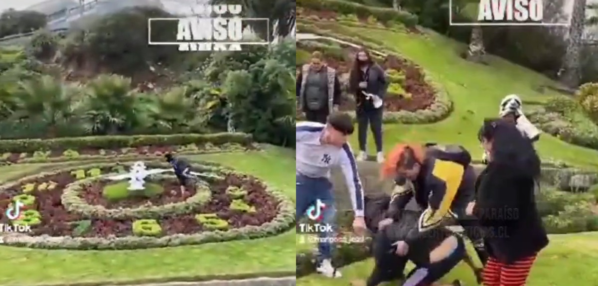 Registran a hombre destruyendo reloj de flores de Viña del Mar: fue retenido por transeúntes