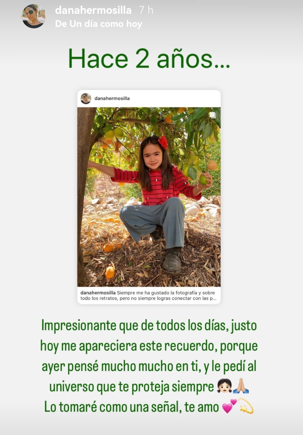 Publicación Dana Hermosilla expareja Camila Recabarren