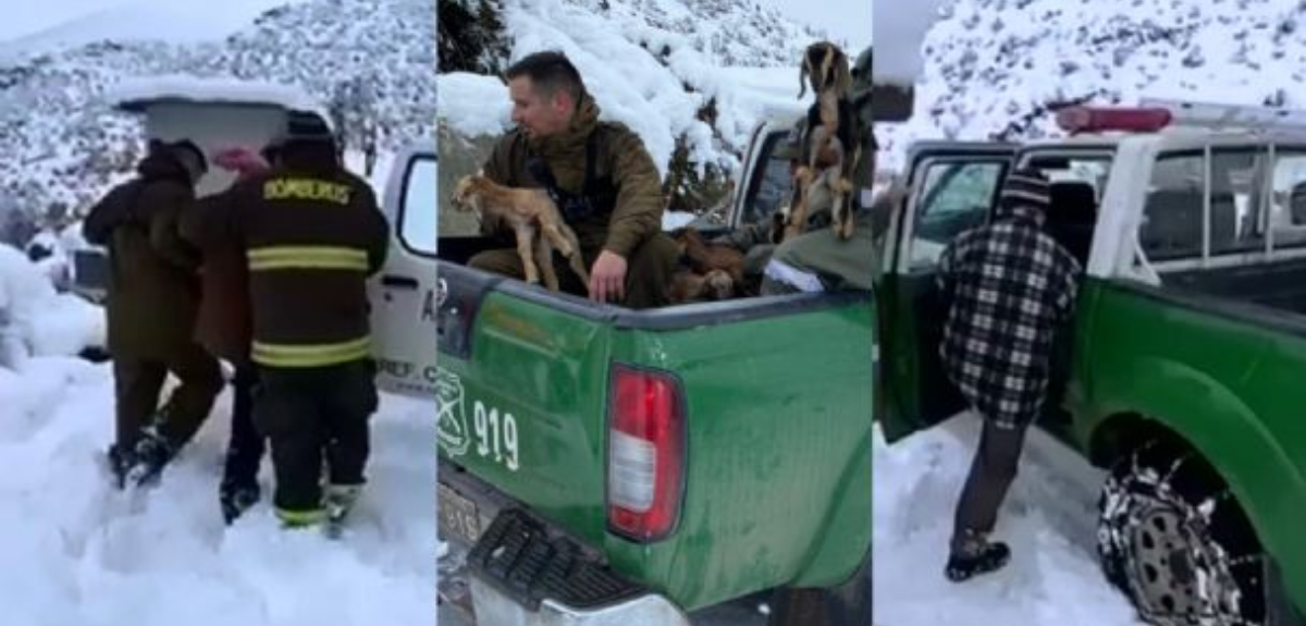 Rescatan a matrimonio de adultos mayores y su hija en Vicuña: quedaron aislados por la nieve