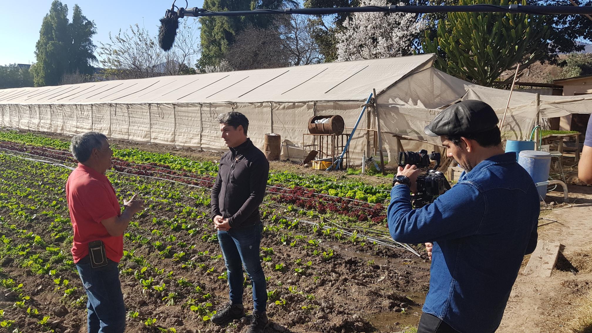 Francisco Pérez-Bannen regresa a la TV y no como actor: conducirá nuevo programa cultural