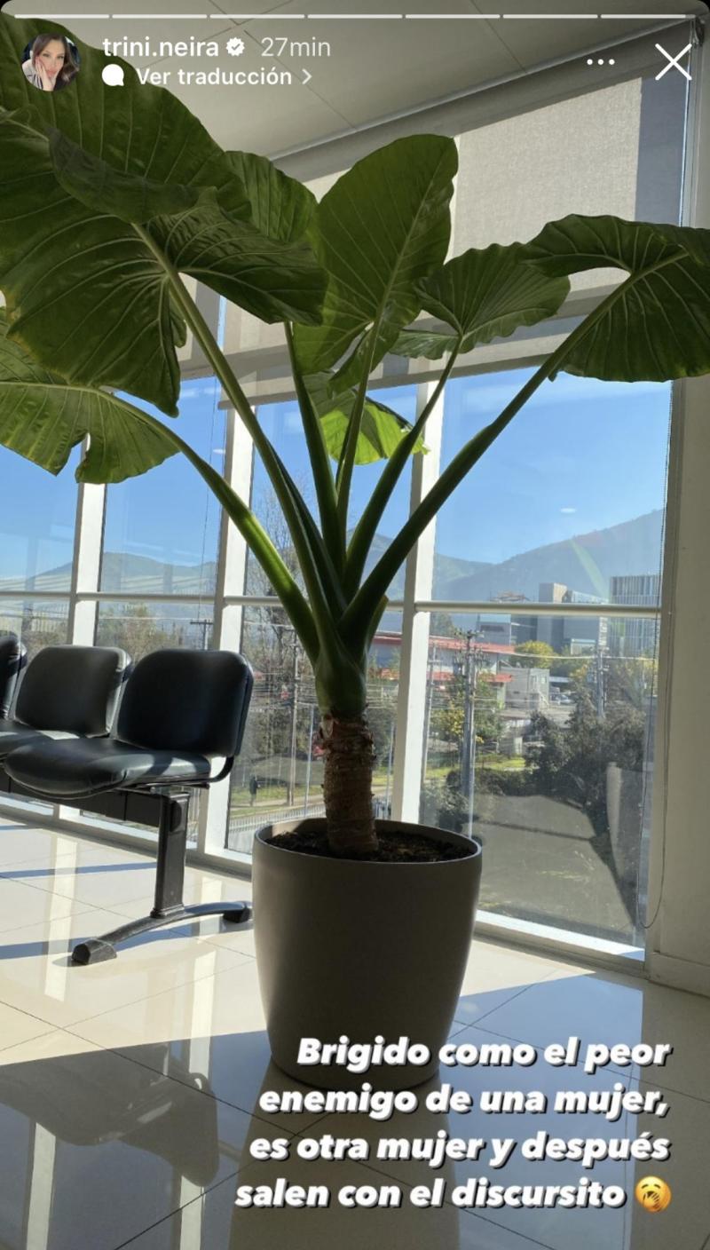 Trini Neira indirecta para Rocío Marengo