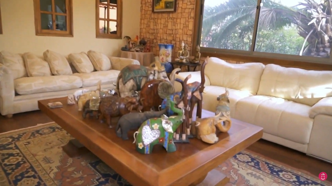 colección elefantes Patricia Maldonado