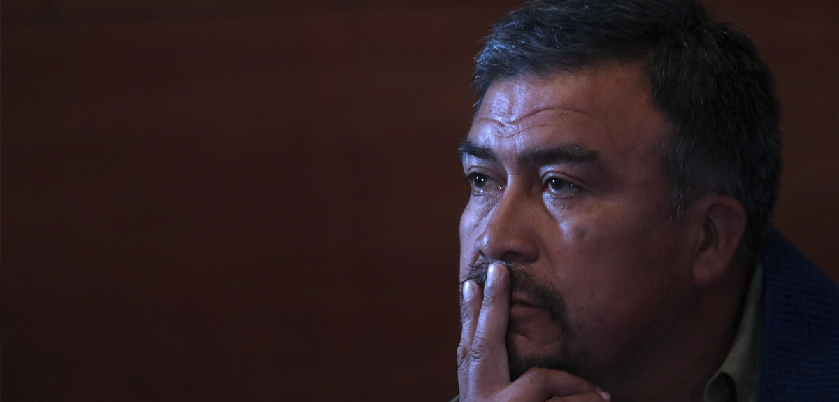 Parlamentarios emplazan al Gobierno tras dichos de Llaitul sobre robo de madera para compra de armas