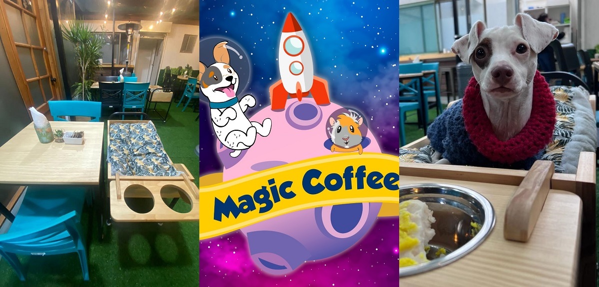Magic Coffee, el emprendimiento en el corazón de Barrio Italia que tu mascota de seguro disfrutará
