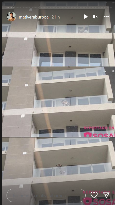 Matías Vera denunció brutal caso de maltrato animal en Providencia