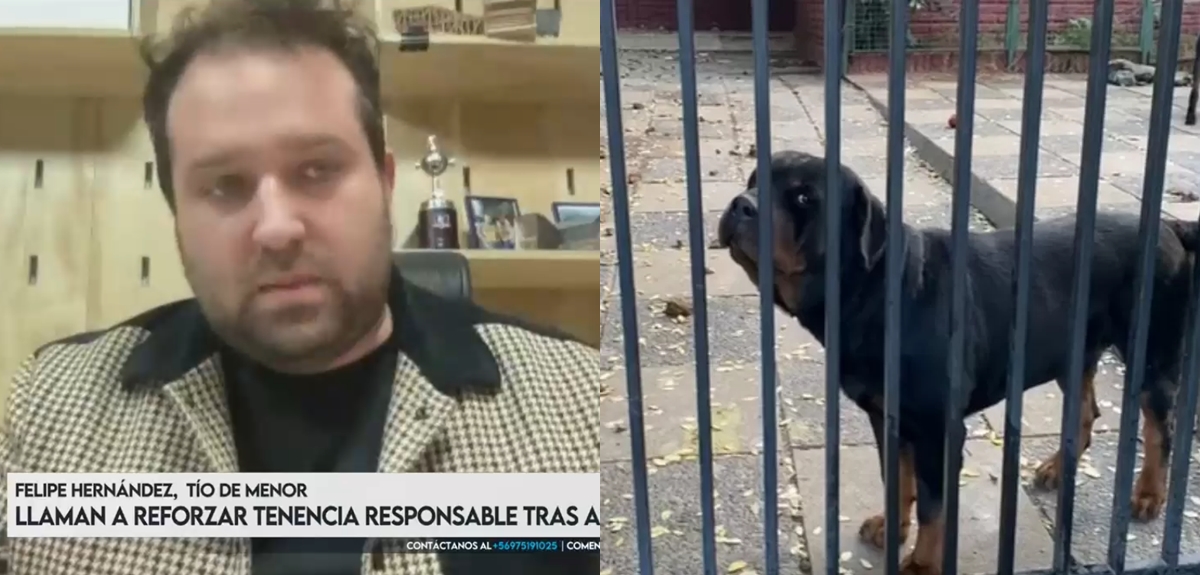 Tío de niña atacada por perros reveló insensible actitud de dueño: 