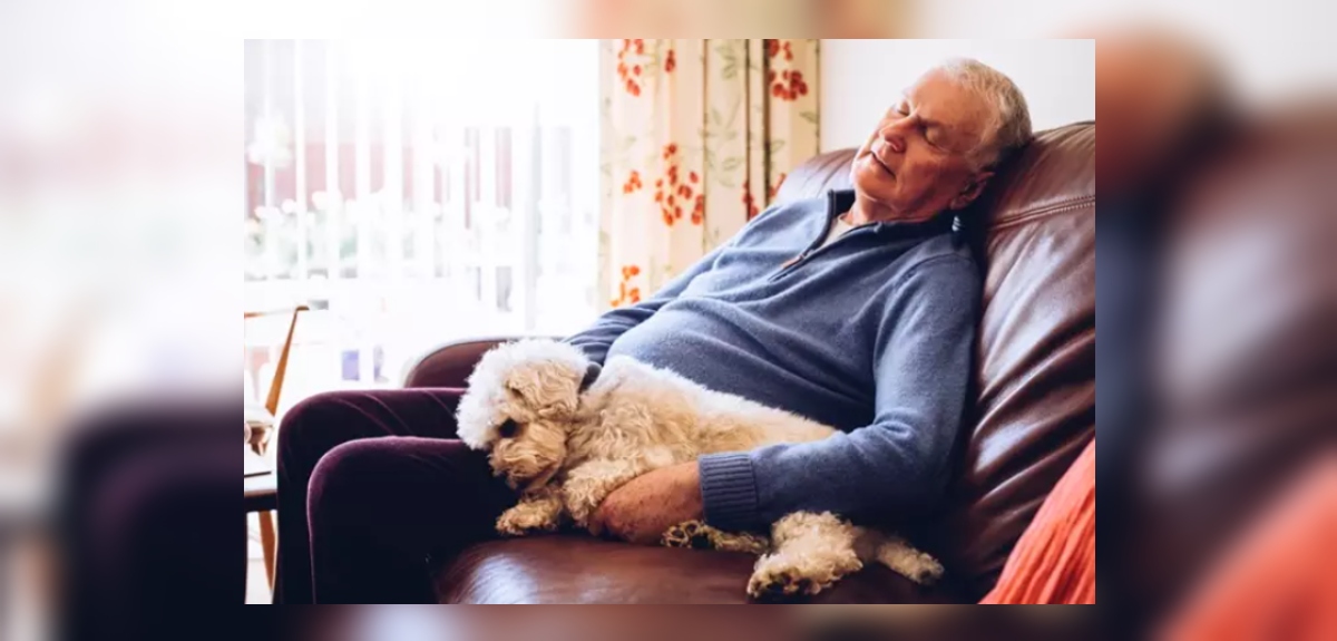 Trasnochar, roncar y dormir la siesta aumentan el riesgo de enfermedad del hígado graso