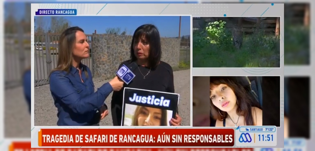 Mucho Gusto Safari Rancagua