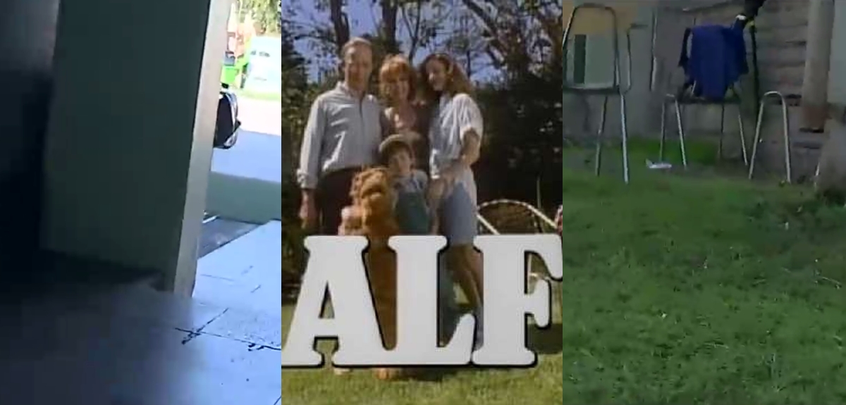 ¿ALF de camarógrafo? Las imágenes de CHV Noticias que fueron blanco de bromas en redes