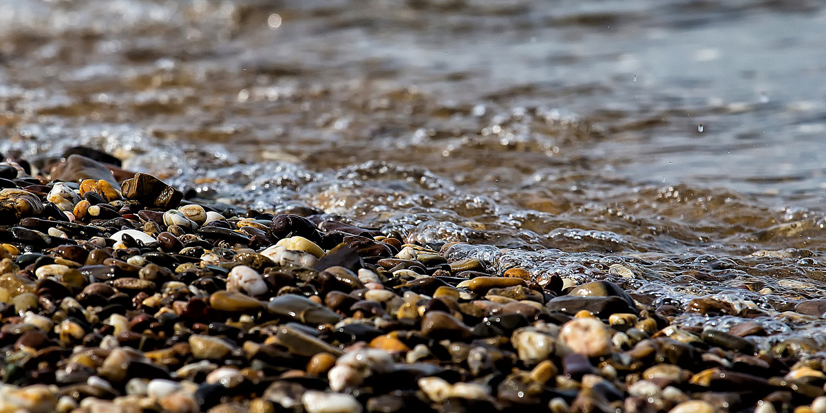 Tres niños, entre ellos un bebé, aparecieron muertos en la orilla de una playa en Nueva York