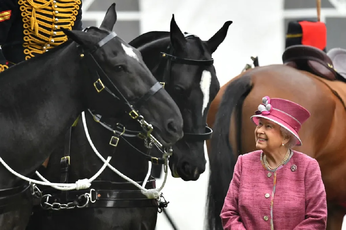 Reina Isabel II caballos