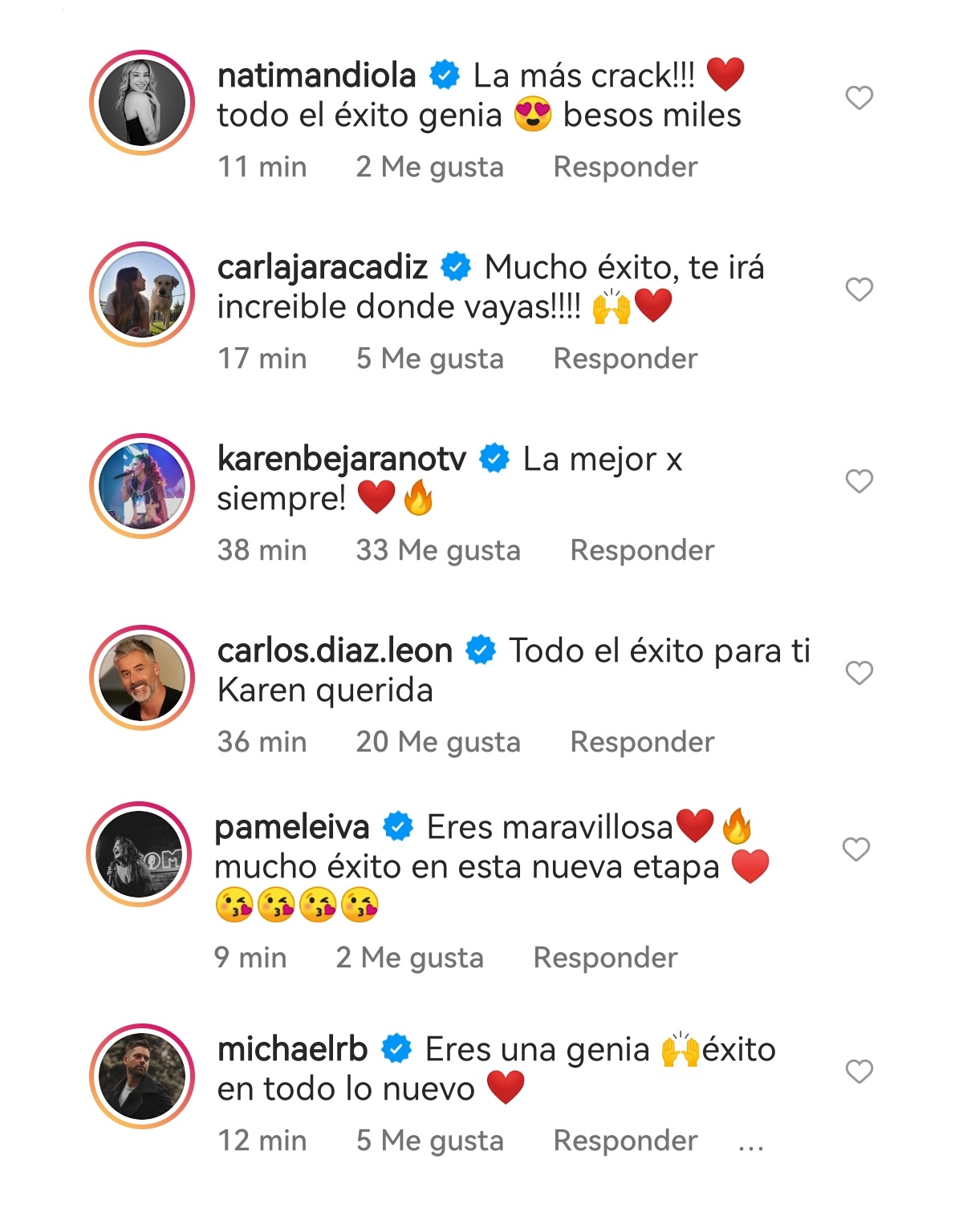 reacciones renuncia Karen Doggenweiler