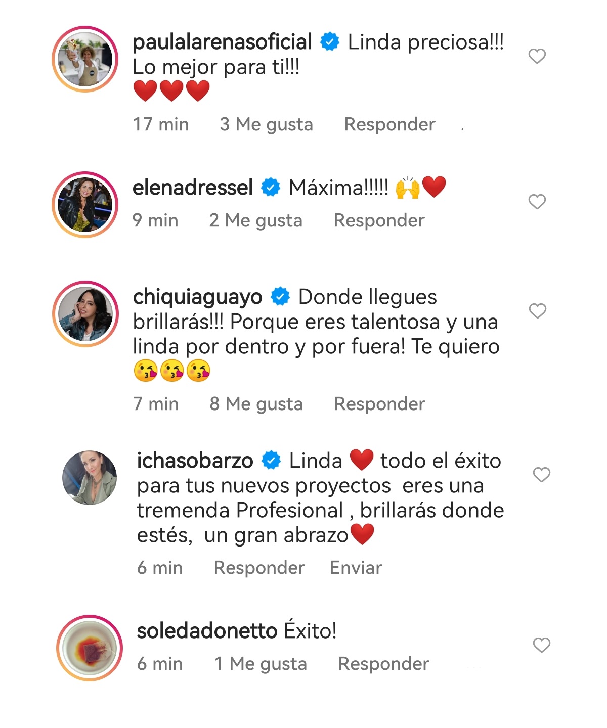 reacciones renuncia Karen Doggenweiler