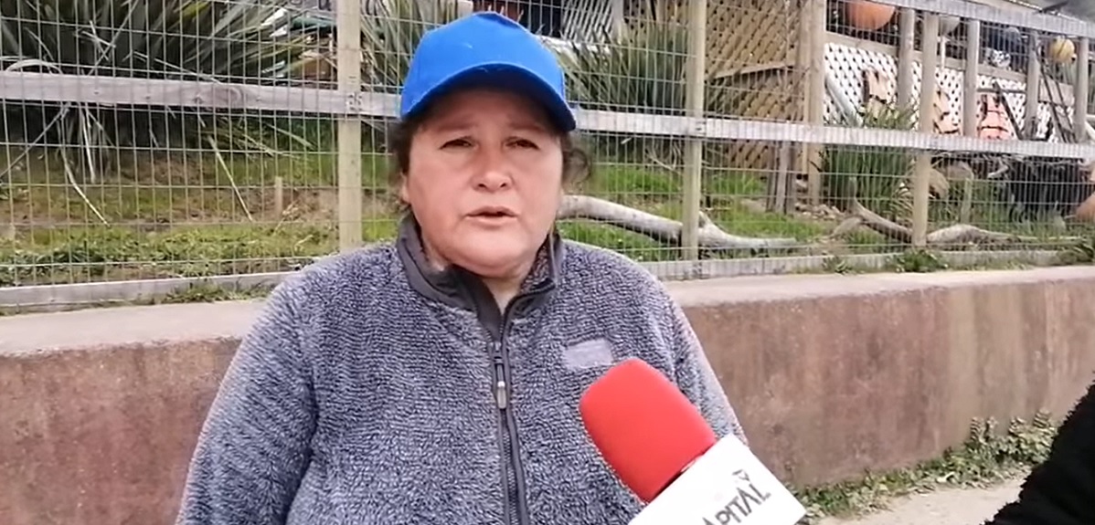 Lorena Huenteo, madre joven desaparecida Lebu