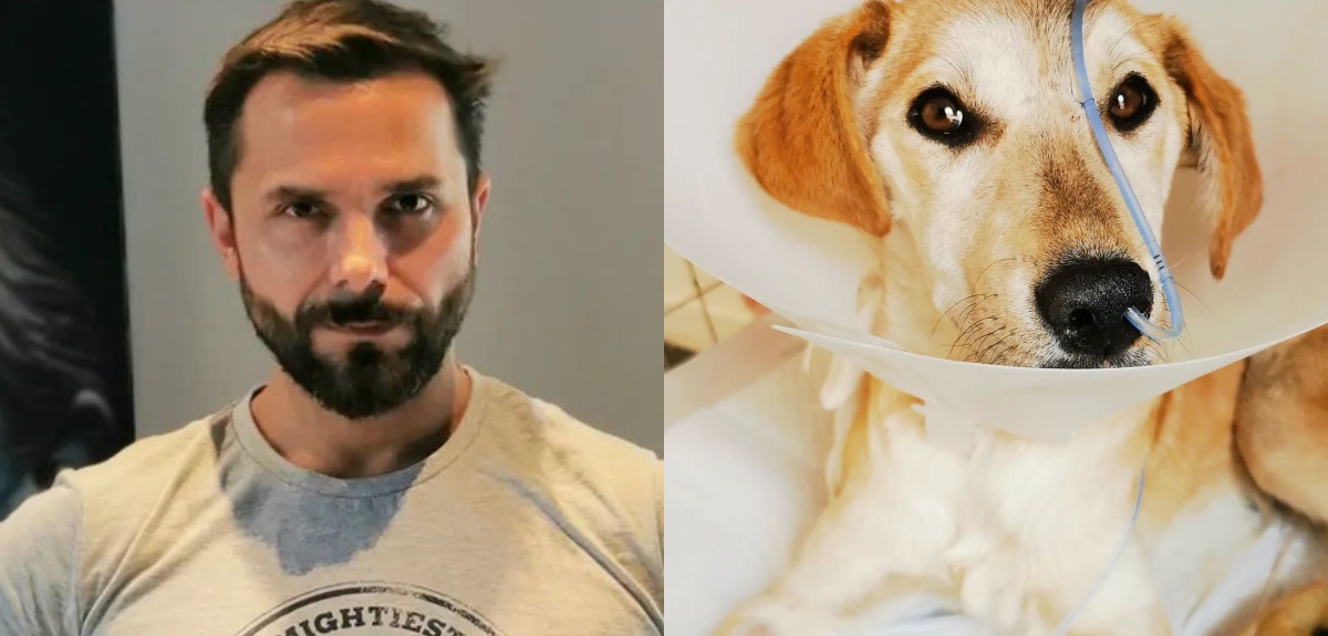 Álvaro Ballero actualizó sobre estado de salud de perrita que rescató de la calle: está internada
