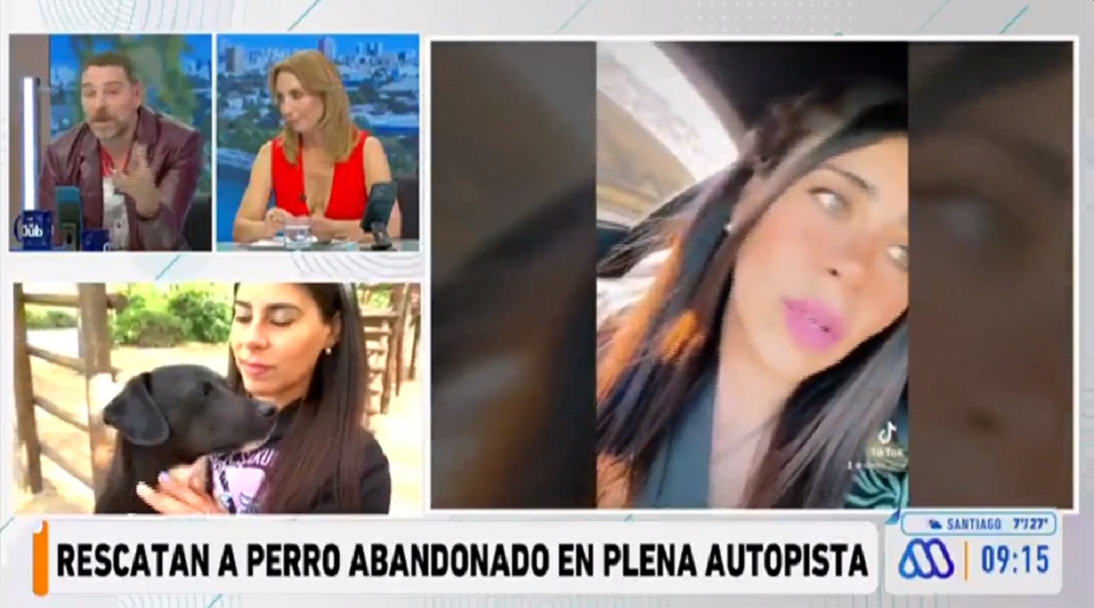 Blacky perrito abandonado carretera Colina