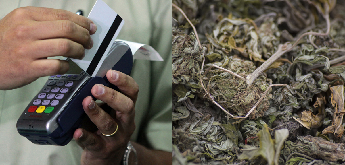 Marihuana con débito y crédito: detienen a hombre que usaba sistema electrónico para vender droga