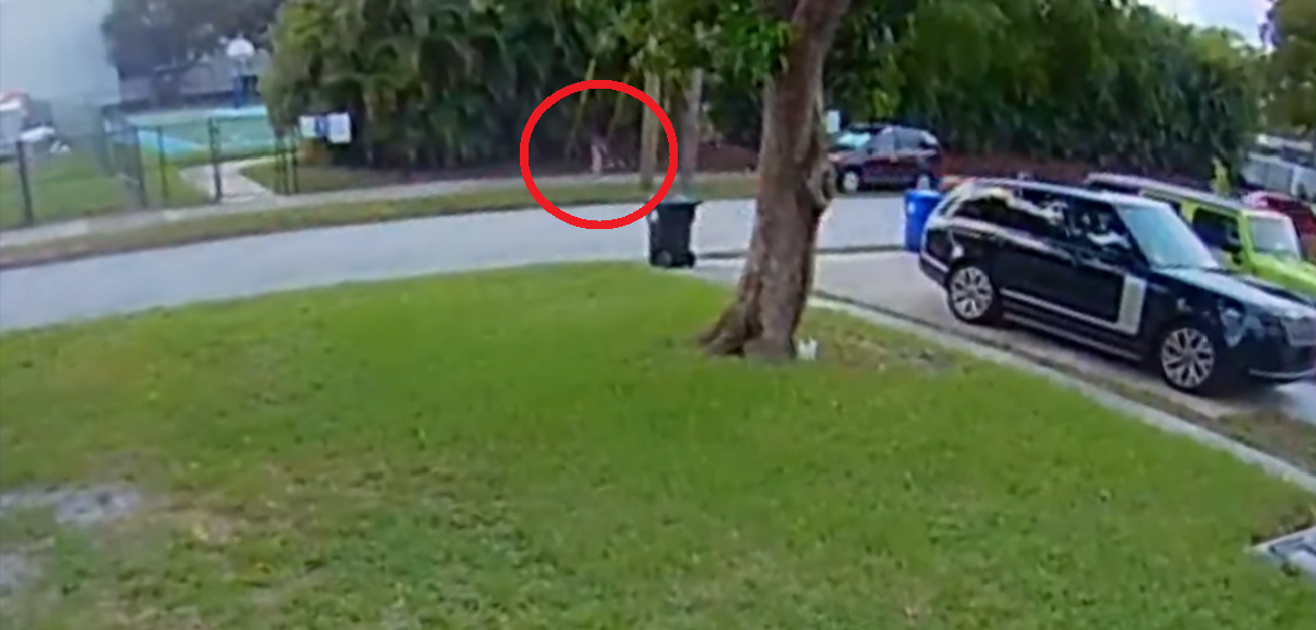 Video muestra momento en que niña de 10 años arrancó de sujeto que intentó secuestrarla en EEUU