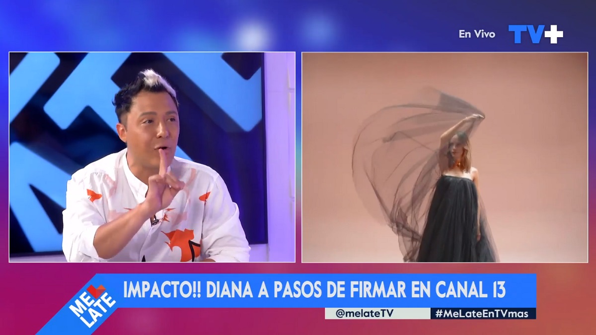 diana bolocco deja Mega grúa televisiva