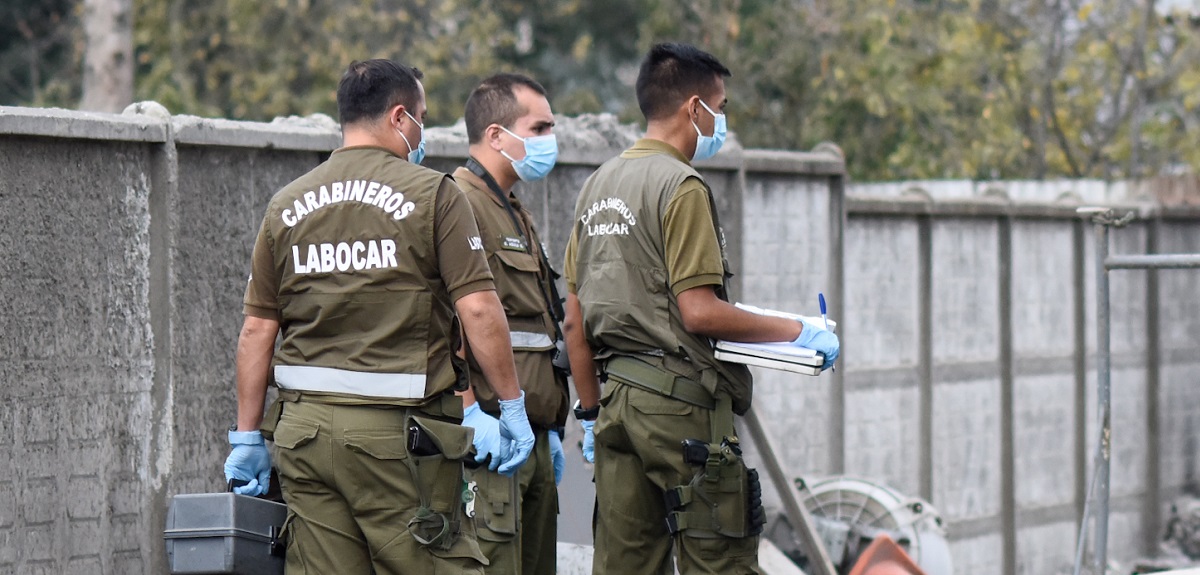 Hallan cráneo humano en Curacautín: podría corresponder a universitario desaparecido en abril