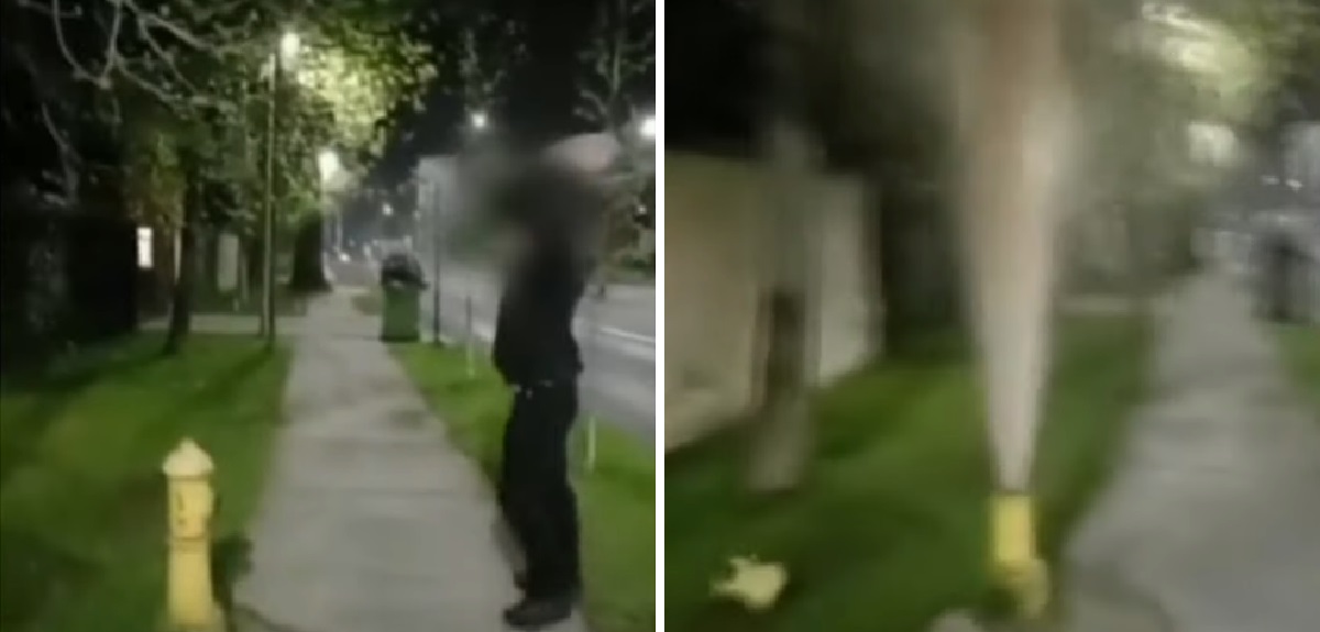 A dos meses del hecho: formalizan a joven que fue grabado rompiendo un grifo en Las Condes