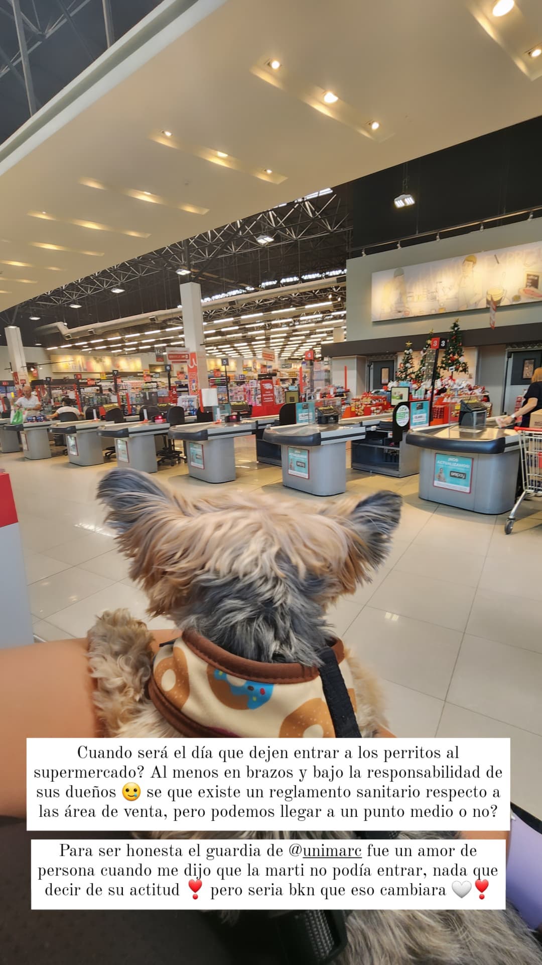 Kel Calderón alzó la voz tras no poder entrar con su perrita al supermercado