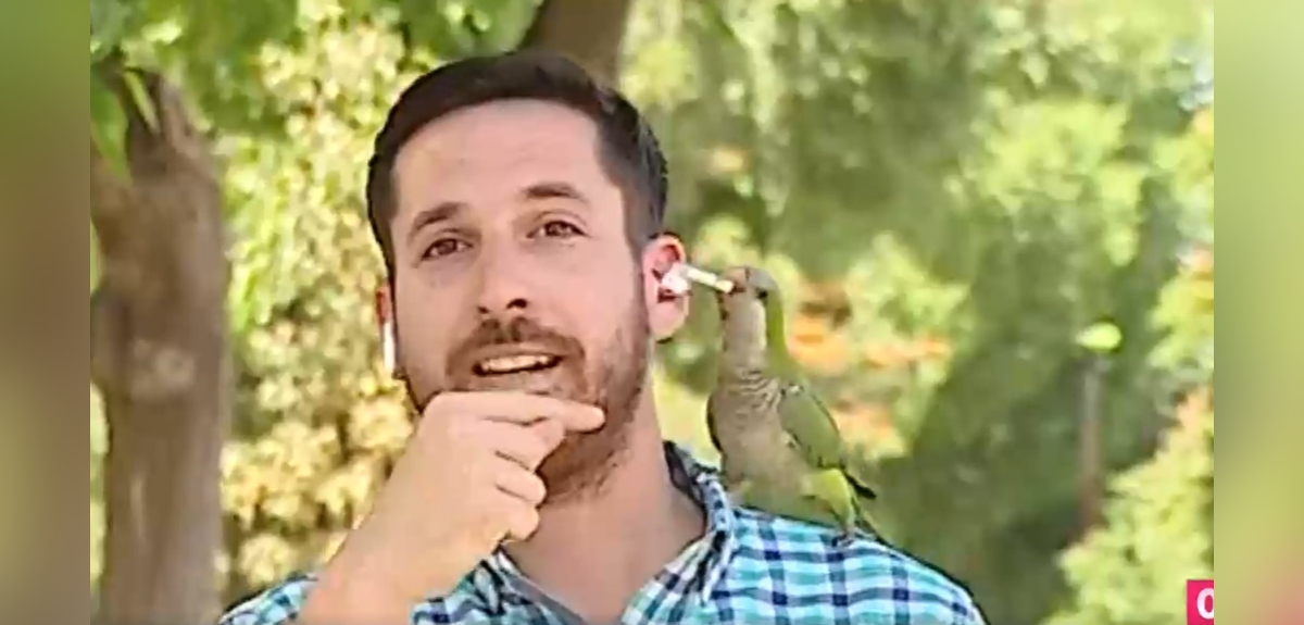 Periodista de CHV Noticias sufrió insólito 