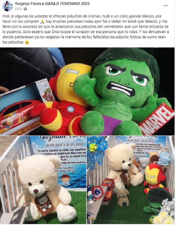 llamado madre ladrones robaron peluches tumba Antofagasta