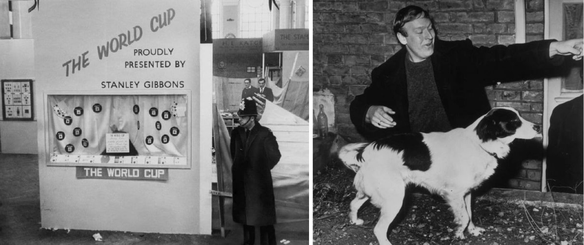 perro encontró copa del mundo robada