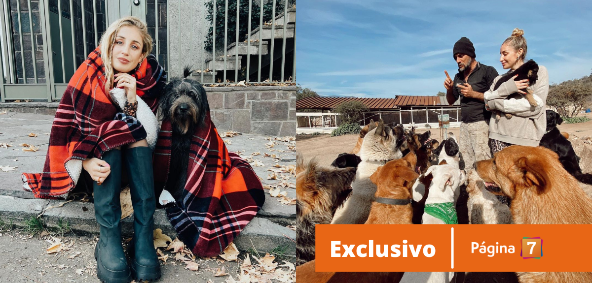 Daniela Castro habló de su lado solidario: así es su fundación que ayuda a perritos sin hogar