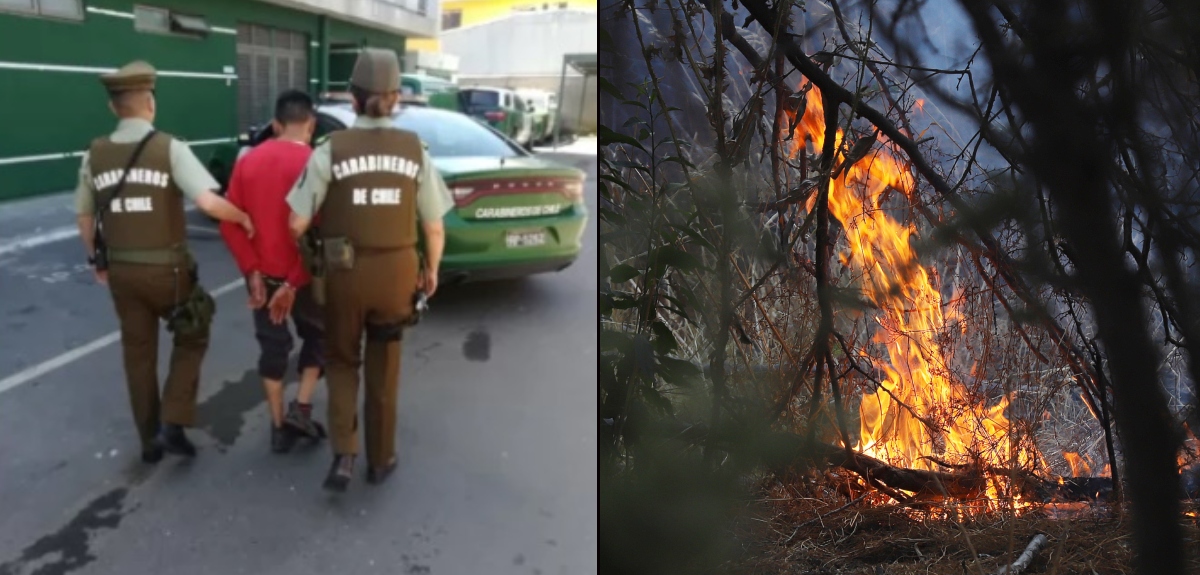 Hombre fue detenido tras intentar iniciar incendio forestal en Penco: tenía antecedentes penales