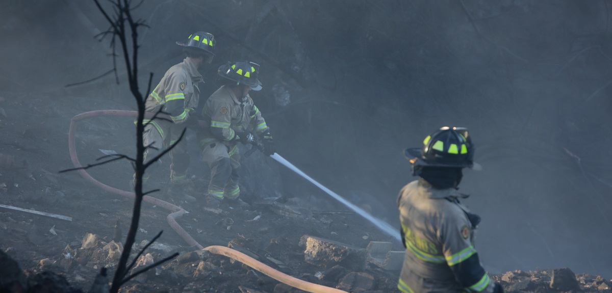 Onemi decreta Alerta Roja para Chiguayante y Hualqui por incendio forestal