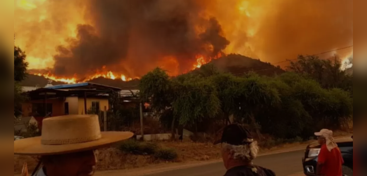 Los impactantes registros que deja incendio forestal en Quilpué: 8 comunas del país en alerta roja