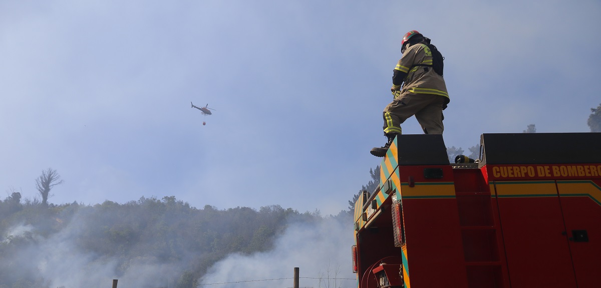 Intensa lucha contra incendios forestales: 4 comunas en Alerta Roja y evacuaciones en Melipilla