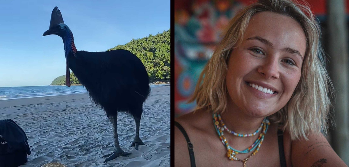 Joven se encontró con ave exótica en Australia sin saber que era la más peligrosa del mundo