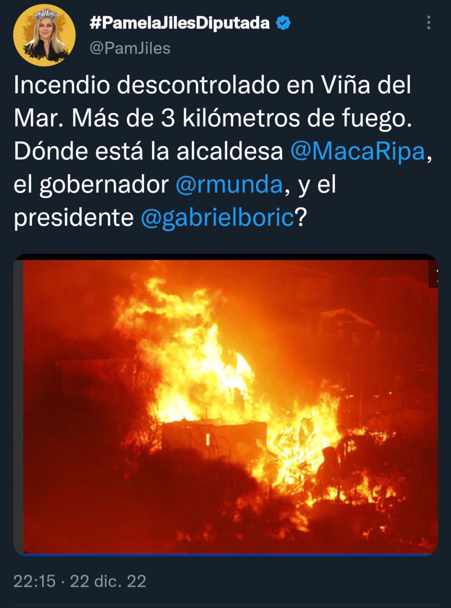 Critican a Pamela Jiles por tuit que luego borro.