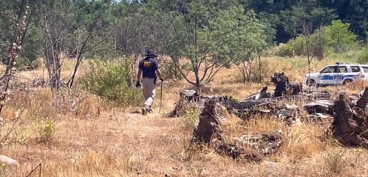 Hallan cuerpo apuñalado, mutilado y quemado en predio de Pelarco: can llevó extremidad a su dueño