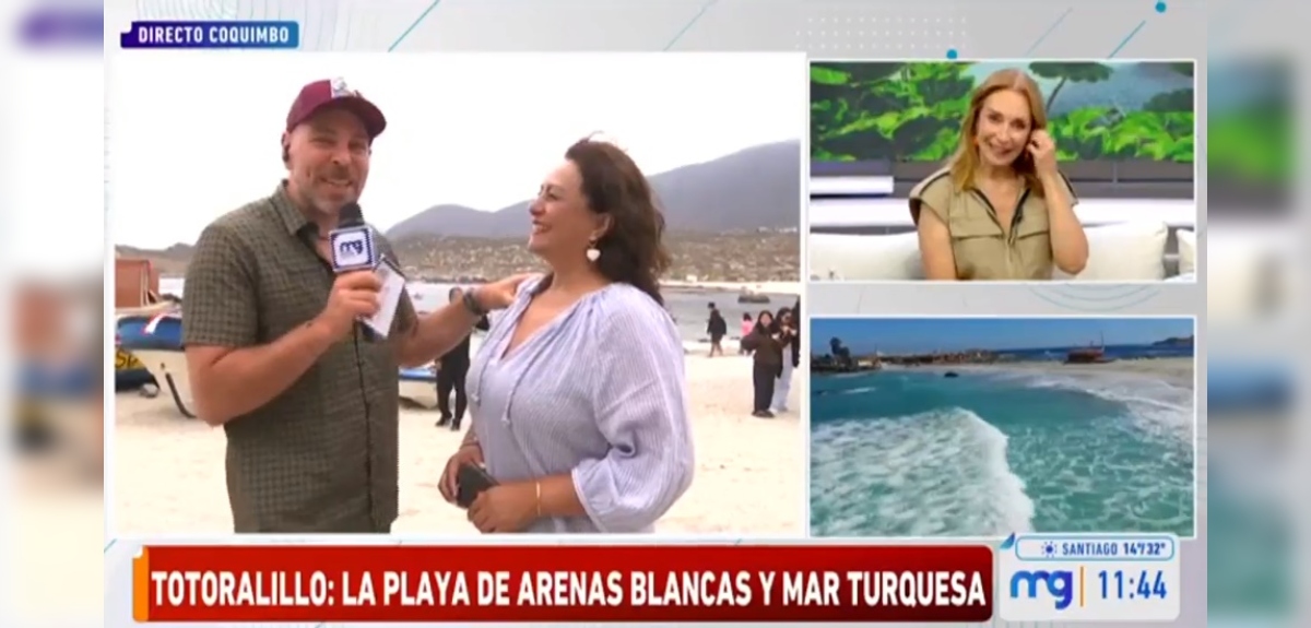 Neme se descargó mientras entrevistaba a veraneante en Totoralillo: 