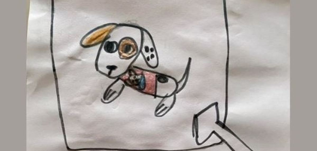 Niña busca a su peluche perdido en Talcahuano: dibujó a 'Cuchi' con la esperanza de encontrarlo