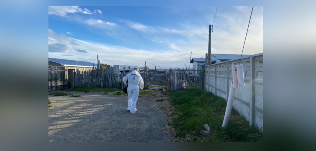 Encuentran a adulto mayor fallecido hace días en su hogar: su estado era de avanzada putrefacción