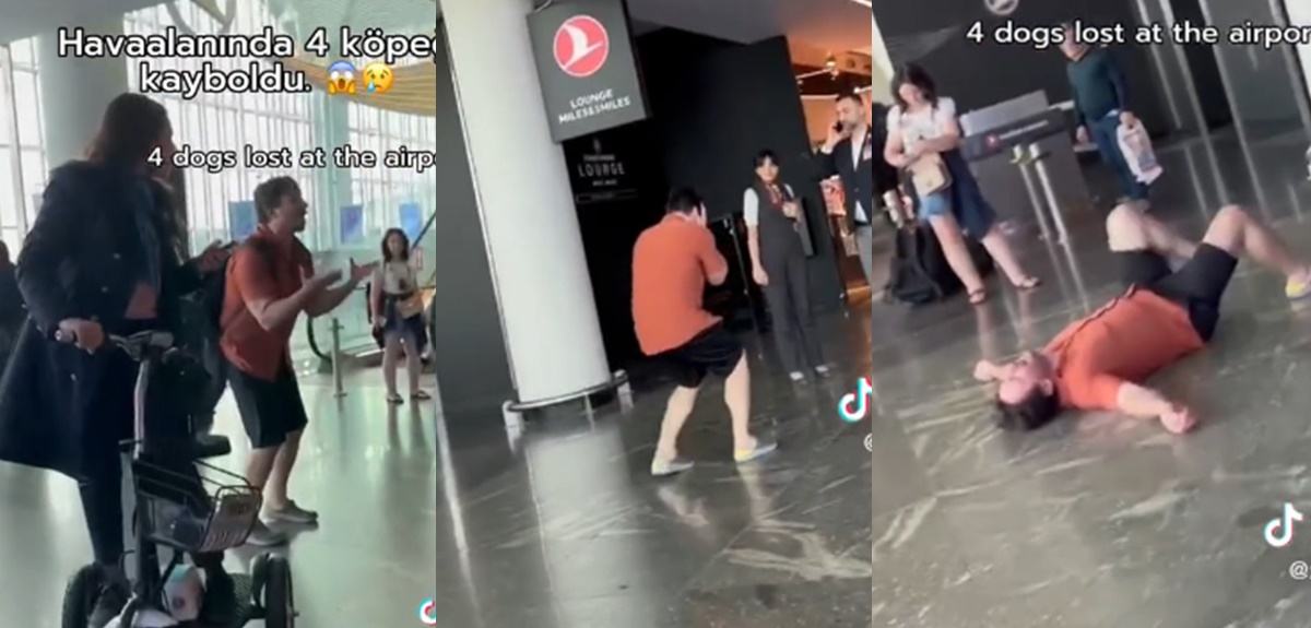 Aerolínea perdió a 4 perros de pasajero y reacción del dueño se viralizó: historia tuvo final feliz