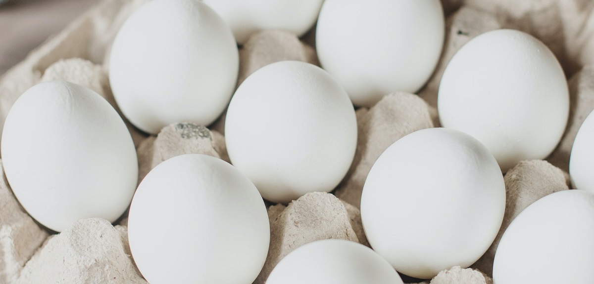 Ante alza del huevo: ¿cómo hacer que sean más contundentes o por qué proteína se puede reemplazar?