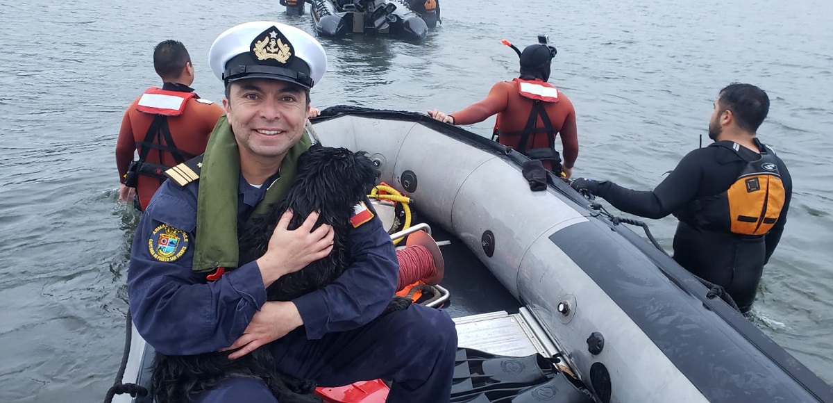 Armada y Bomberos rescataron con vida a perrito que estuvo 4 días atrapado en roquerío de Hualpén
