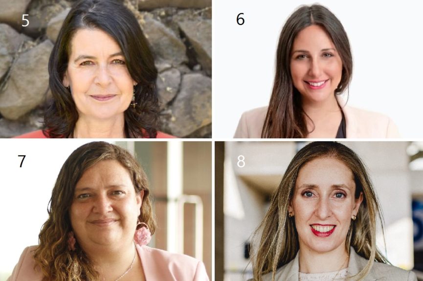 cámara de diputados expertos constituyentes