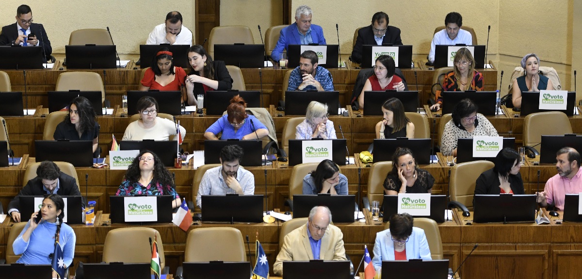 Cámara de Diputados definió a los 12 primeros expertos para el nuevo proceso constituyente