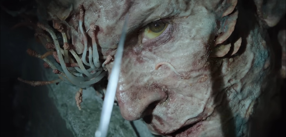 ¿Puede realmente infectar humanos? Así actúa Cordyceps, el peligroso hongo en 'The Last of Us'