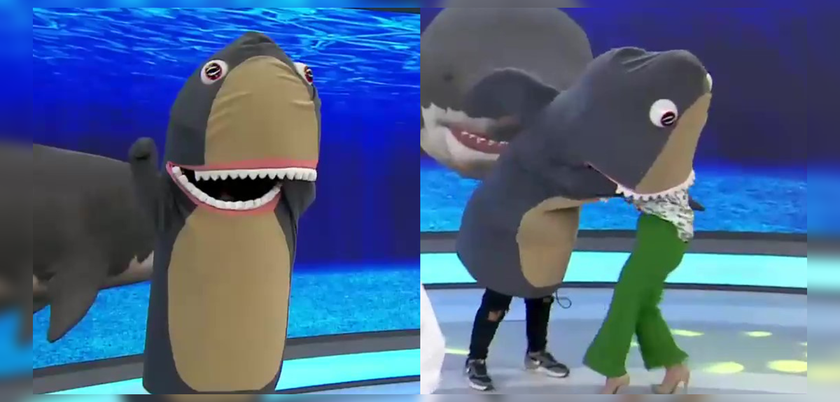 Corpóreo de tiburón protagonizó hilarante momento en Tu día: ‘devoró’ a animadora del matinal