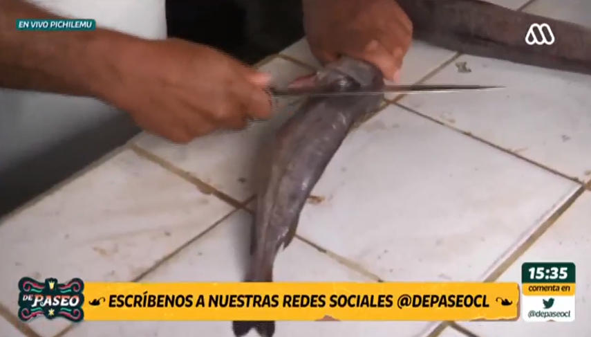 Coté Quintanilla fue puesta en aprietos en vivo durante De paseo.