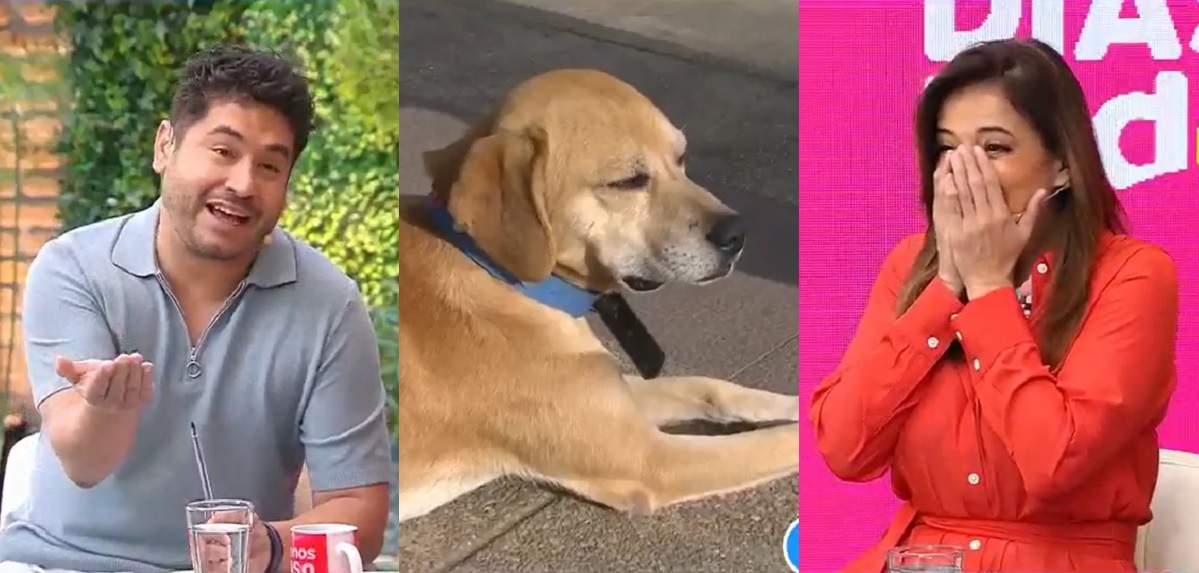 Gino Costa tuvo aplaudido gesto con perrito cuyo dueño murió en Cesfam: 